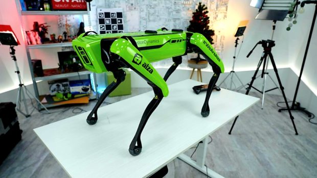 Alze pomáha robotický pes Dášenka