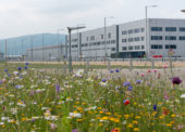 Volkswagen Slovakia a udržateľnosť – fabrika vysadila ovocné stromy a rozširuje lúčne plochy